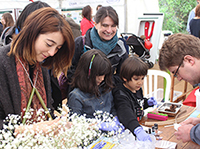 The Festival of Plants demos