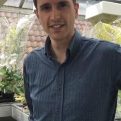 Dr Ian  P. Wood