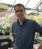 Dr Ian  P. Wood